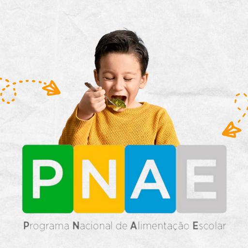 Imagem ilustrativa do curso de Programa Nacional de Alimentação Escolar (PNAE)